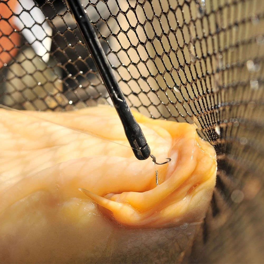 Guru Disgorger - Conti - Image 5