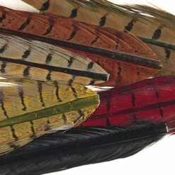 Cock Pheasant Centre Tails Mixed Colours - Mixed